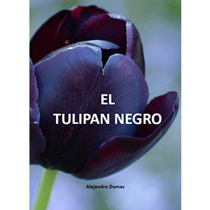 El Tulipán de Alejandro Dumas